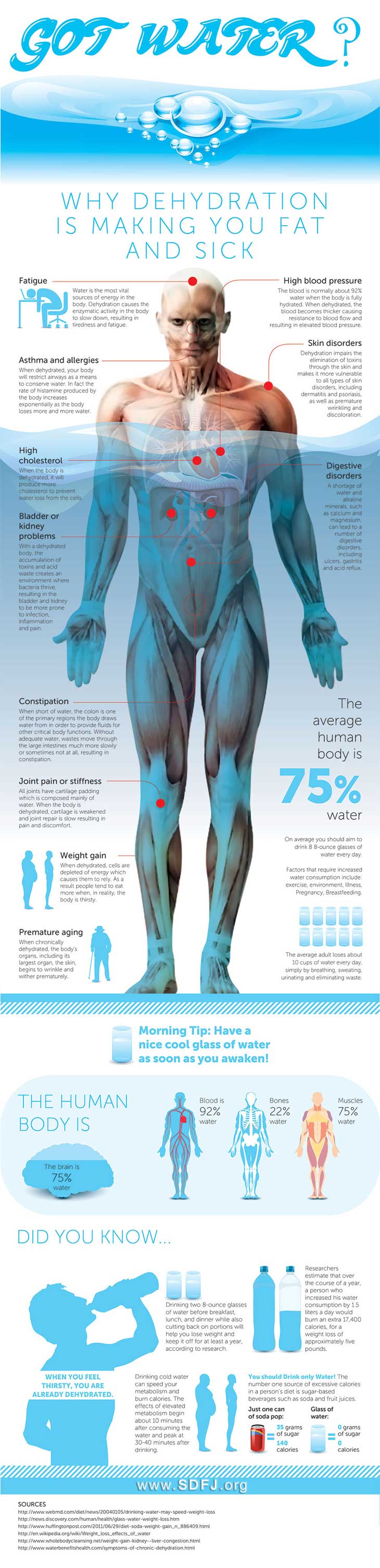 dehydration infographic